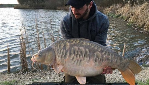A carp from Jonchery, Swim 4, Mar 2017