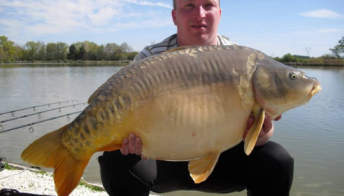 A carp from Jonchery, Swim 4, Apr 2014
