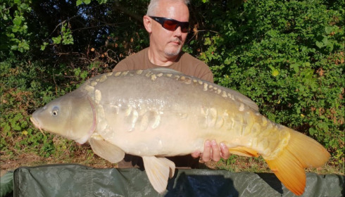A carp from Jonchery, Aug 2018