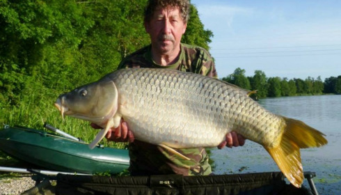 A carp from Jonchery, May 2014