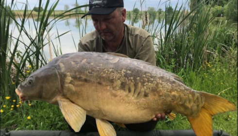 A carp from Jonchery, May 2019