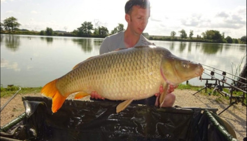 A carp from Jonchery, Aug 2019