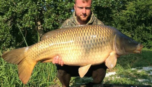 A carp from Jonchery, Jun 2014