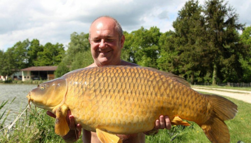 A carp from Jonchery, May 2017