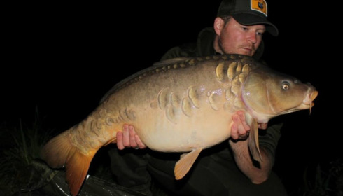A carp from Jonchery, Oct 2014