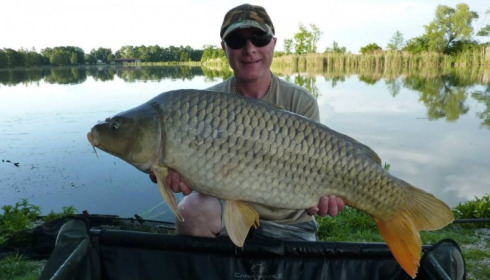 A carp from Jonchery, May 2014