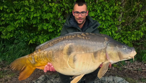 A carp from Jonchery, May 2022
