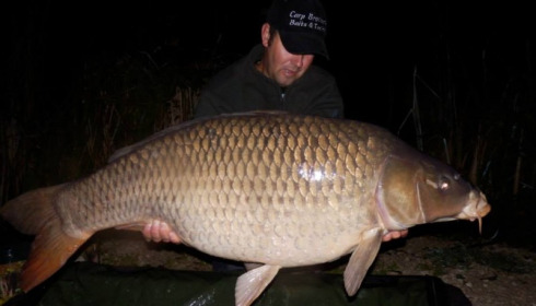A carp from Jonchery, Oct 2014