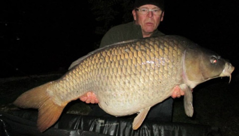A carp from Jonchery, Sep 2014