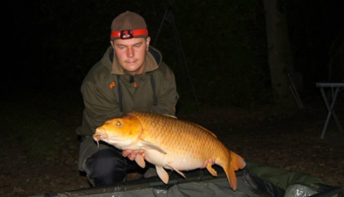 A carp from Jonchery, Oct 2013