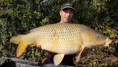 A carp from Jonchery, Oct 2018