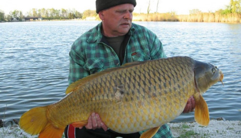 A carp from Jonchery, Apr 2014