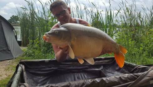 A carp from Jonchery, Jun 2017