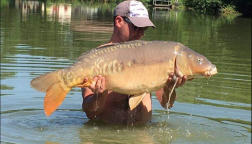 A carp from Jonchery, Jul 2018