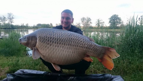 A 52 lb carp from Jonchery, Swim 3, Jun 2015