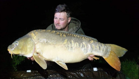 A carp from Jonchery, May 2019