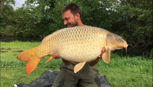 A carp from Jonchery, Jul 2018