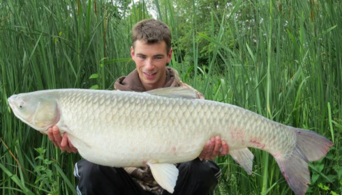 A grass carp from Jonchery, Jun 2013