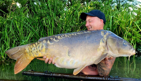 A carp from Jonchery, Aug 2022