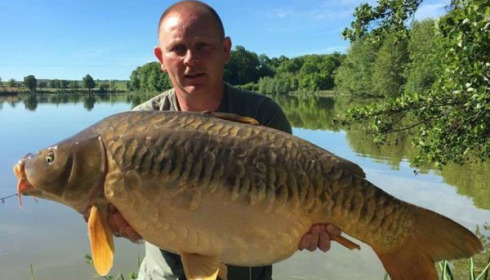 A carp from Jonchery, May 2017
