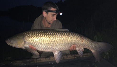 A carp from Jonchery, Carl Smith, Sep 2016