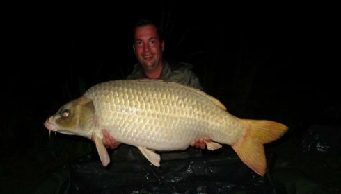 A carp from Jonchery, Jul 2017