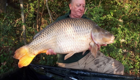 A carp from Jonchery, Aug 2019
