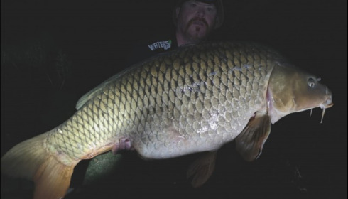 A 53 lb 12 oz carp from Jonchery, Aug 2019