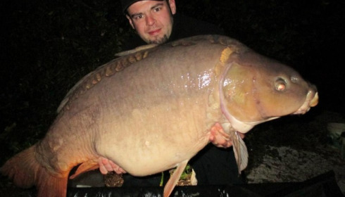 A carp from Jonchery, Sep 2014