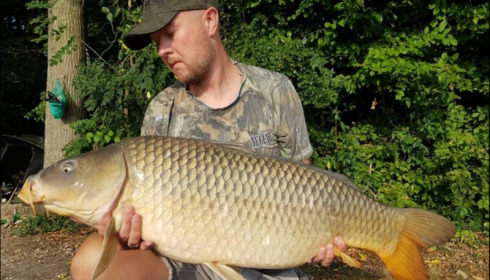 A carp from Jonchery, Jul 2018