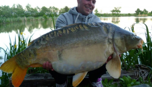 A carp from Jonchery, May 2014