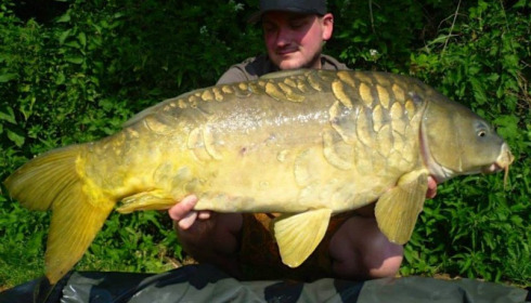 A carp from Jonchery, Stefan, Jul 2014