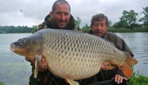 A carp from Jonchery, May 2014
