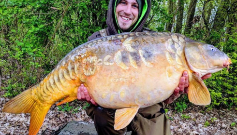 A carp from Jonchery, Apr 2018