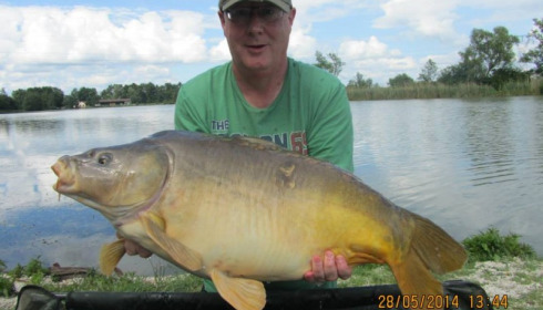 A carp from Jonchery, May 2014