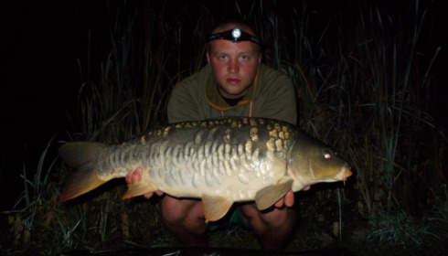 A carp from Jonchery, Sep 2014