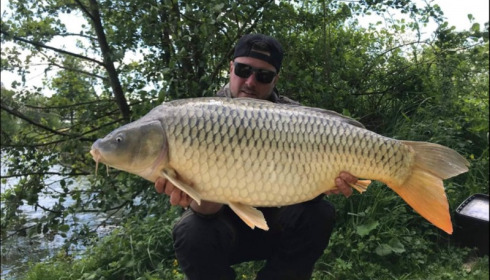 A carp from Jonchery, May 2019
