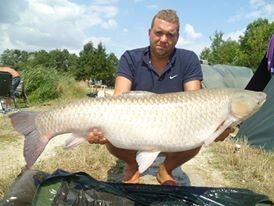 A grass carp from Jonchery, Aug 2013