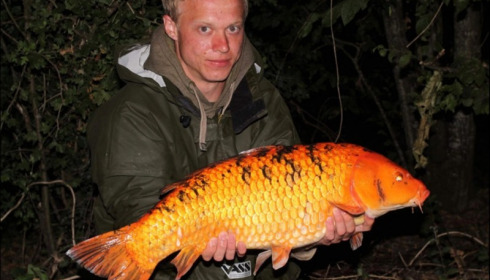A carp from Jonchery, Jul 2019
