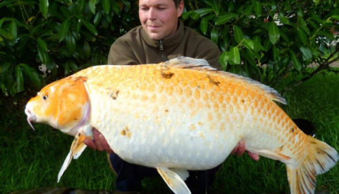 A carp from Jonchery, May 2014