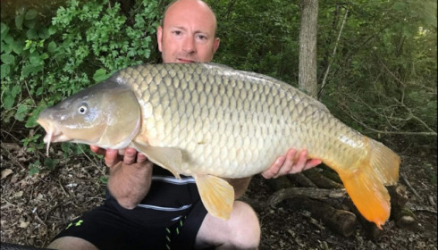 A carp from Jonchery, Jun 2019