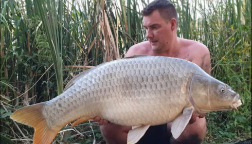 A carp from Jonchery, Sep 2019