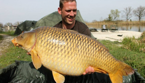 A carp from Jonchery, Swim 3, Apr 2014