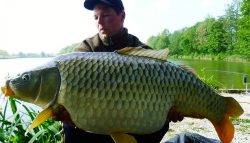A carp from Jonchery, May 2014