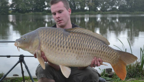 A carp from Jonchery, Oct 2013