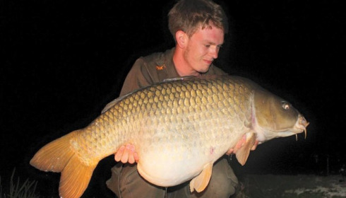 A carp from Jonchery, Apr 2015