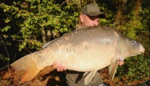 A carp from Jonchery, Aug 2019