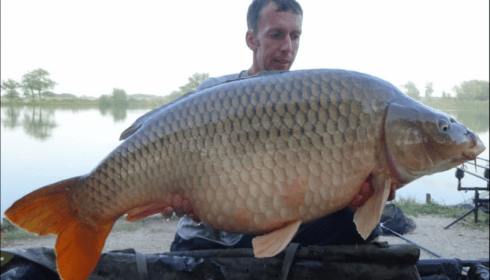 A 52 lb carp from Jonchery, Steve , Aug 2019