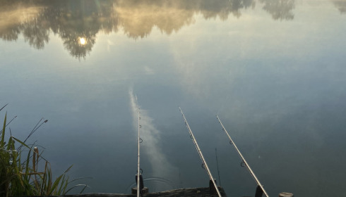 A fish from Jonchery, Sunrise for peg one., Oct 2021