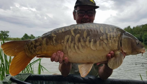 A carp from Jonchery, Aug 2017